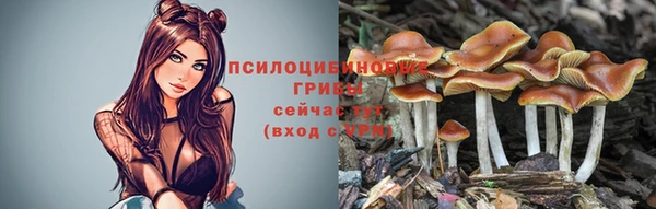 ГАЛЛЮЦИНОГЕННЫЕ ГРИБЫ Алексеевка