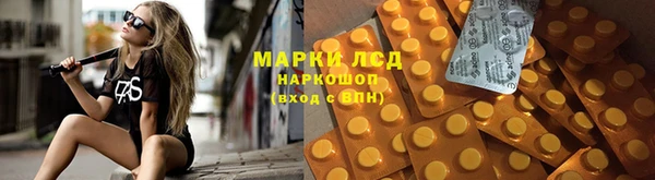 jwh Абаза