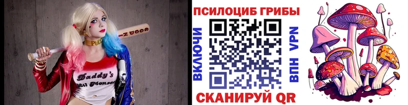 Псилоцибиновые грибы Cubensis  Ахтырский 